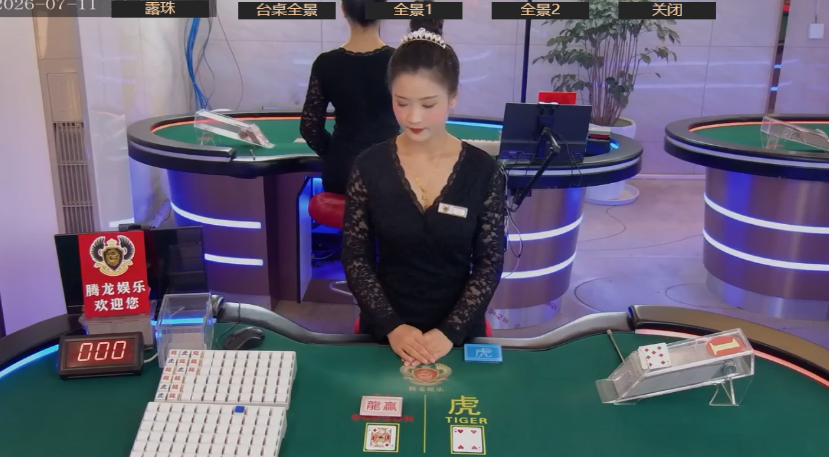腾龙发布新一代AI大模型龙腾3.0